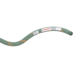 Mammut 9.9 Crag Workhorse Dry Rope - Kletterhallenseil