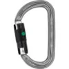 Petzl Am'D - Ball-Lock Karabiner